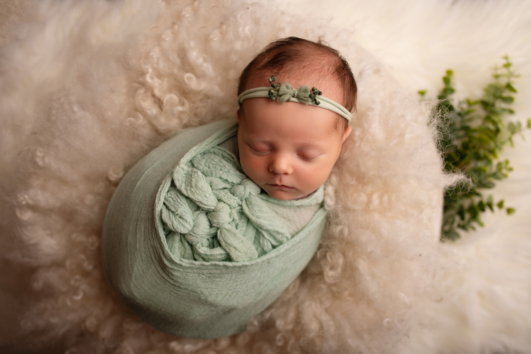 Hamilton NZ newborn baby photo